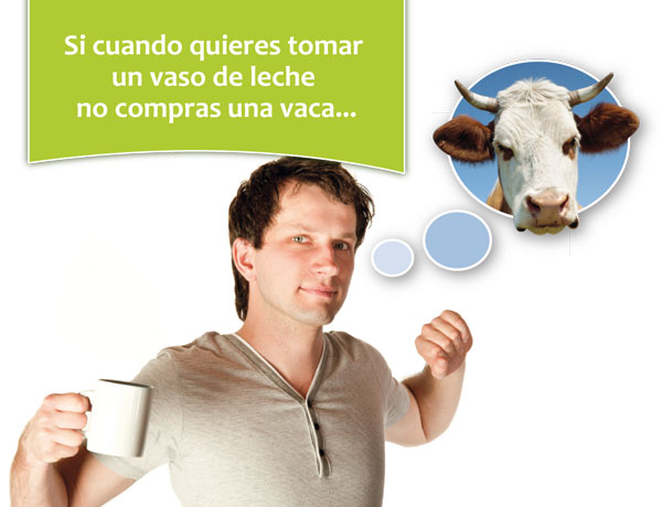 HelloByeCars.com - Campaña "Comprar una vaca"